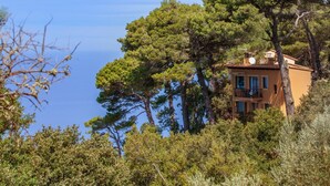 Exterior - Beautiful home in Valldemossa (Valldemossa)