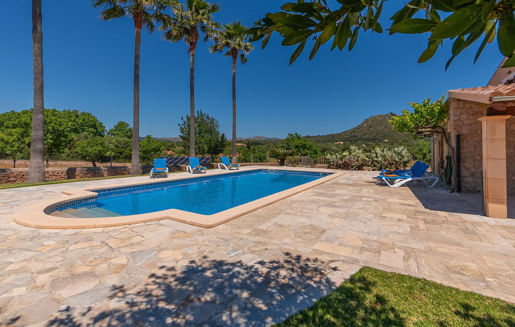 A swimming pool with lounge chairs, surrounded by palm trees and a stone patio.