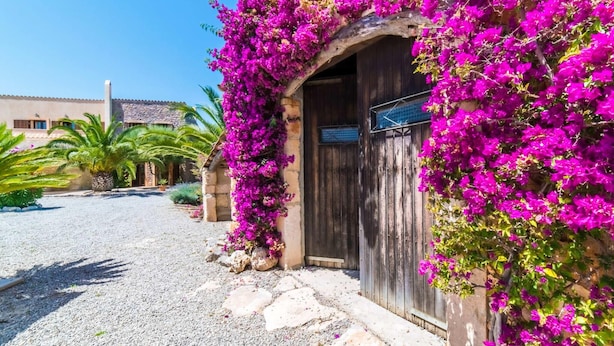 Exterior detail - Stunning home in Santa Margalida (Santa Margalida)