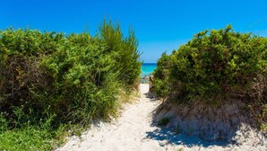 En sti af sand, der fører ned til en strand med frodig, grøn bevoksning på begge sider.
