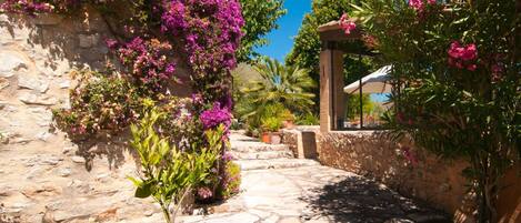 Jardines del alojamiento