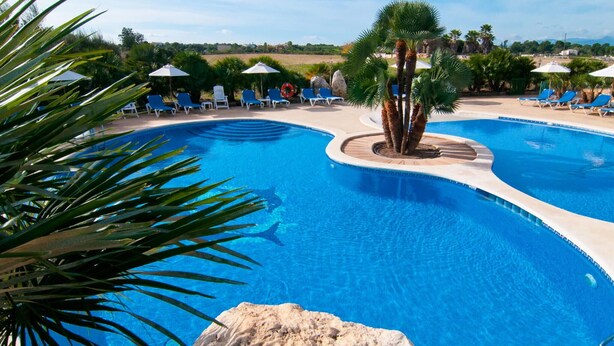 Ein großer, gewölbter Swimmingpool mit blauem Wasser, umgeben von Liegestühlen und Palmen.
