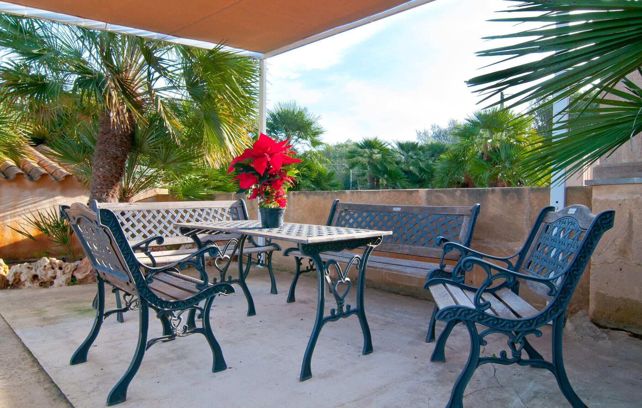 An outdoor patio with a table and four chairs, surrounded by palm trees and a potted plant.