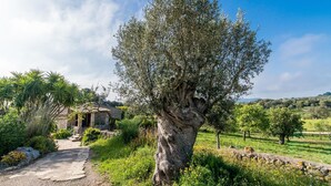 Unclassified image, 4 of 45, button - Lovely home in Arta with private swimming pool, can be inside or outside (Arta)