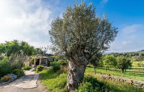 Property grounds - Lovely home in Arta with private swimming pool, can be inside or outside (Arta)