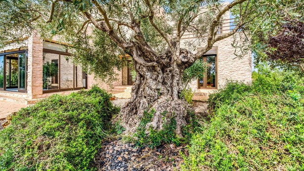 Exterior detail - Amazing home in Campos with private swimming pool, can be inside or outside (Campos)