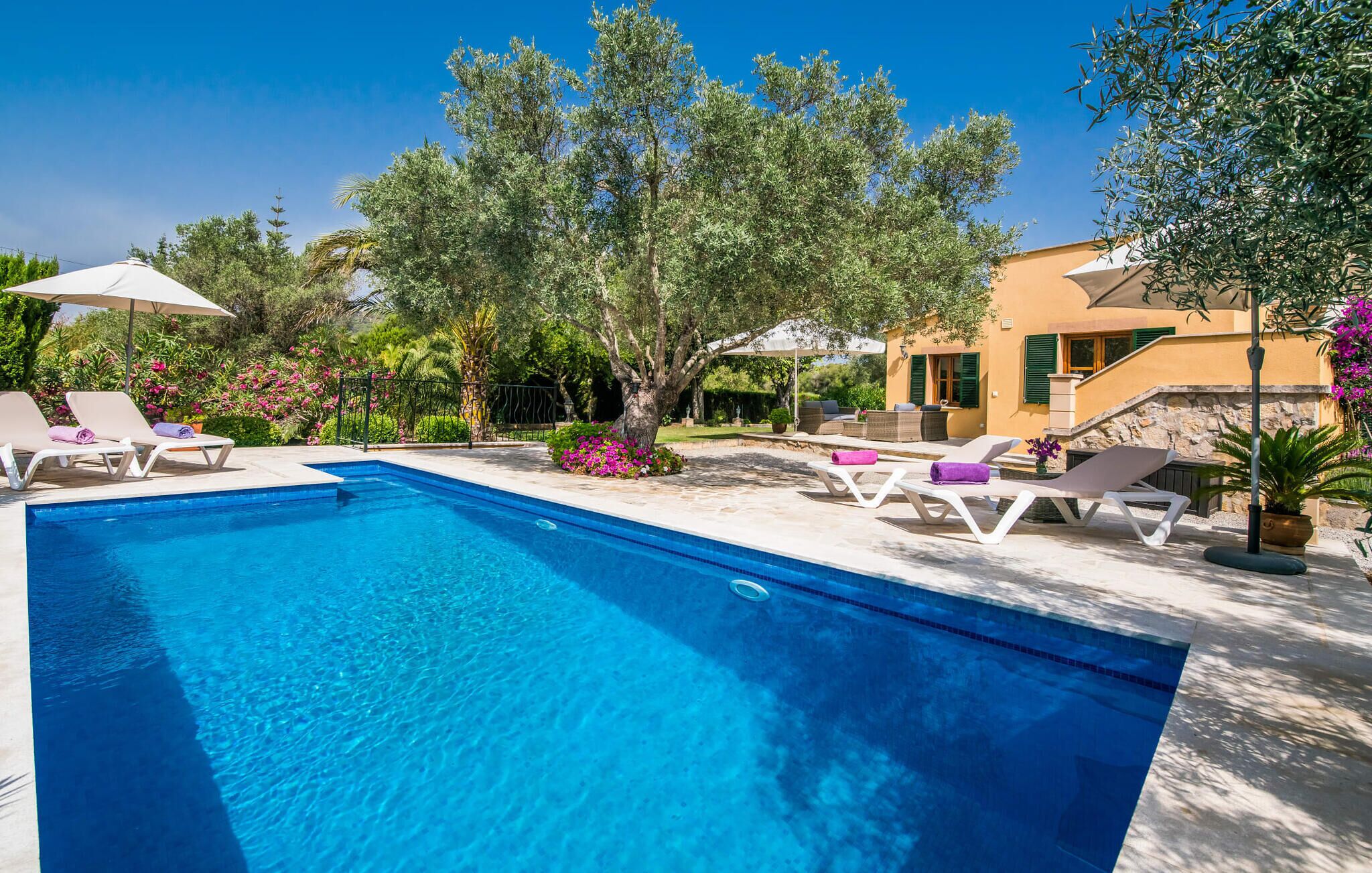 Ein Pool mit Liegestühlen und einer überdachten Sitzgruppe, umgeben von Bäumen und einem Gebäude mit Steinverkleidung.