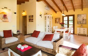 TV, DVD player - Luxurious home in Arta with private swimming pool, can be inside or outside (Arta)