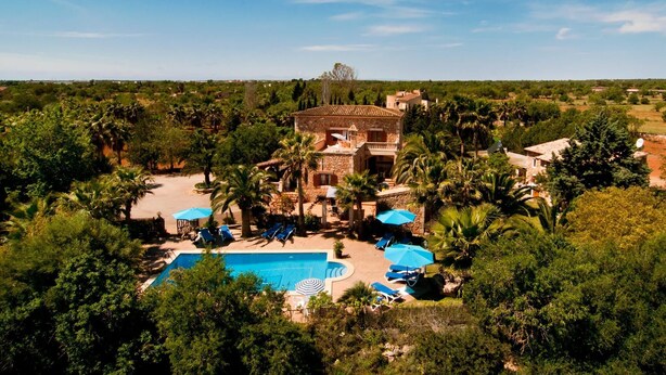 Una amplia villa con piscina rodeada de palmeras y tumbonas.