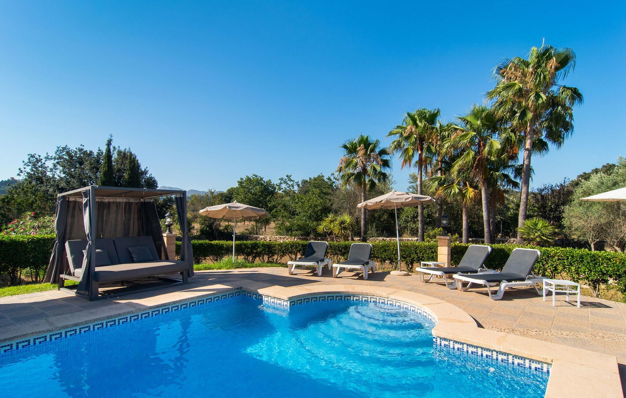 A pool area with lounge chairs and umbrellas, surrounded by palm trees and a clear sky.