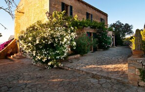Property grounds - Awesome home in Manacor with private swimming pool, can be inside or outside (Manacor)