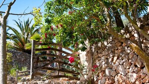 Mural de pedra com portão de madeira, vegetação exuberante e flores vermelhas.