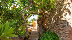 Property grounds - Cozy home in Arta with private swimming pool, can be inside or outside (Arta)