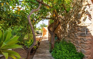 Property grounds - Cozy home in Arta with private swimming pool, can be inside or outside (Arta)