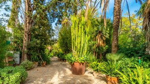 Property grounds - Amazing home in Consell with private swimming pool, can be inside or outside (Consell)