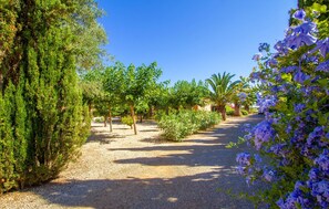 Property grounds - Beautiful home in Ses Covetes (Ses Covetes)