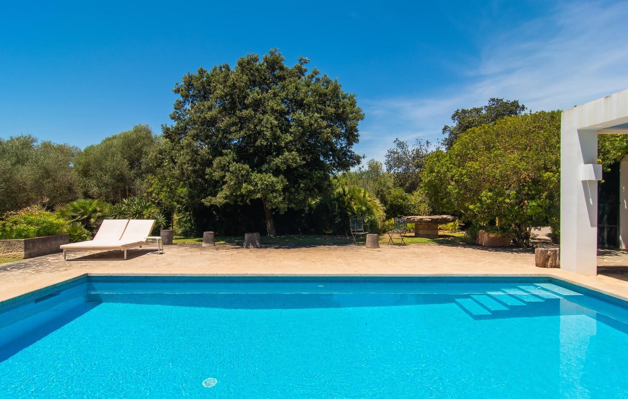A swimming pool with a clear blue water surface, surrounded by a sandy area with a few lounge chairs and a large tree in the background.