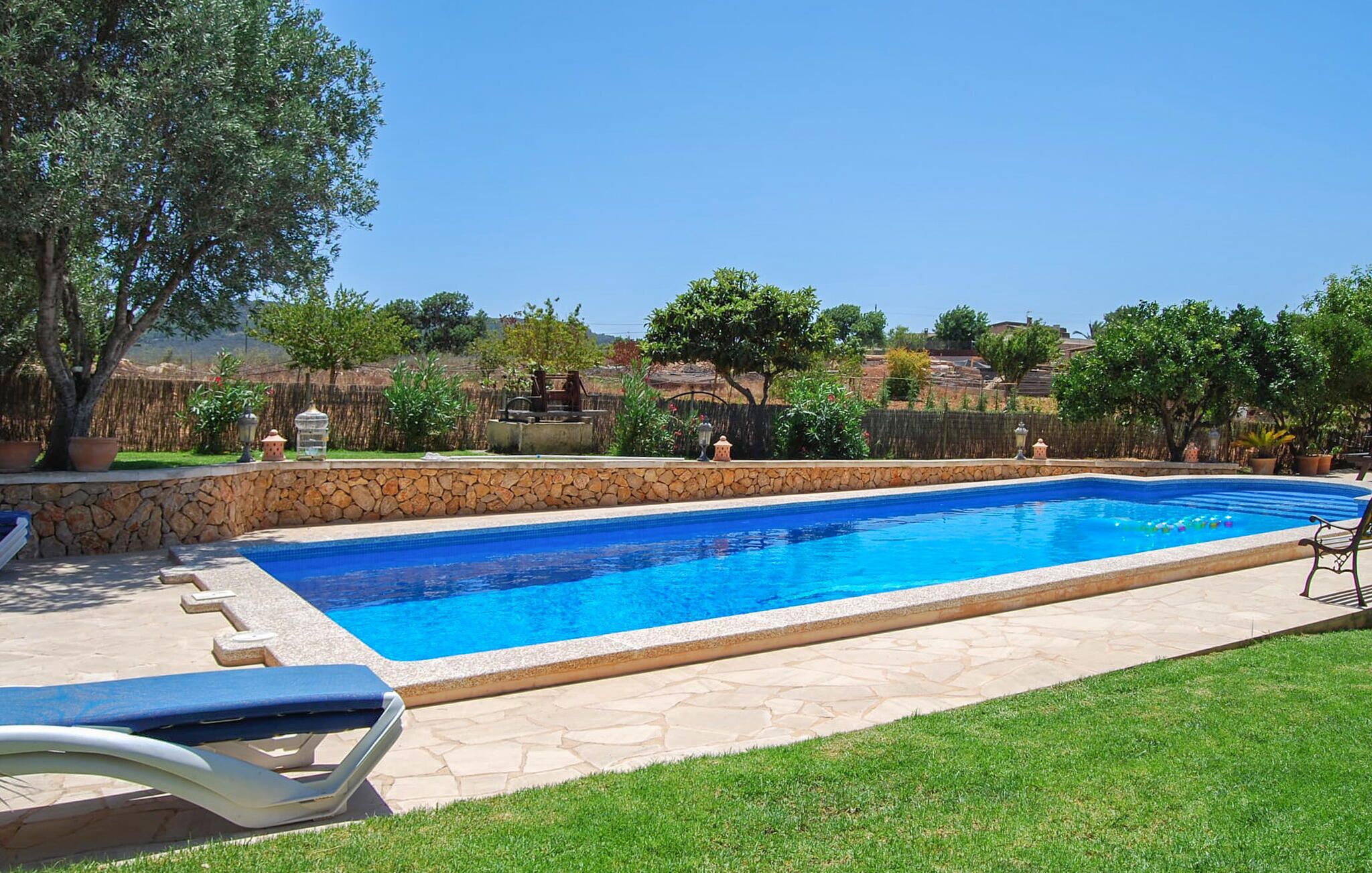 A rectangular swimming pool with a stone border, surrounded by a well-maintained lawn and trees.