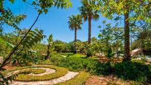 Ein Garten mit einem gewundenen Weg, Palmen und verschiedenen Pflanzen.