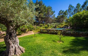 Property grounds - Cozy home in Felanitx with private swimming pool, can be inside or outside (Felanitx)