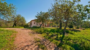 Uma casa rústica com um caminho de terra que a leva, rodeada por vegetação exuberante e árvores.