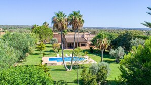 Una casa rodeada de palmeras y vegetación, con piscina.