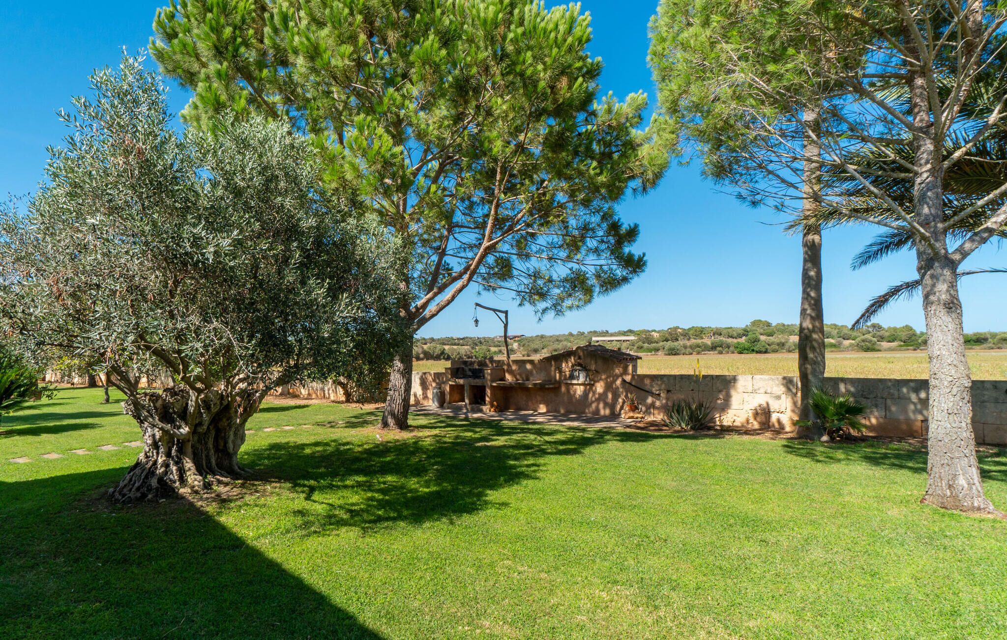 A rustic outdoor setting with a large tree, a stone structure, and a grassy lawn.