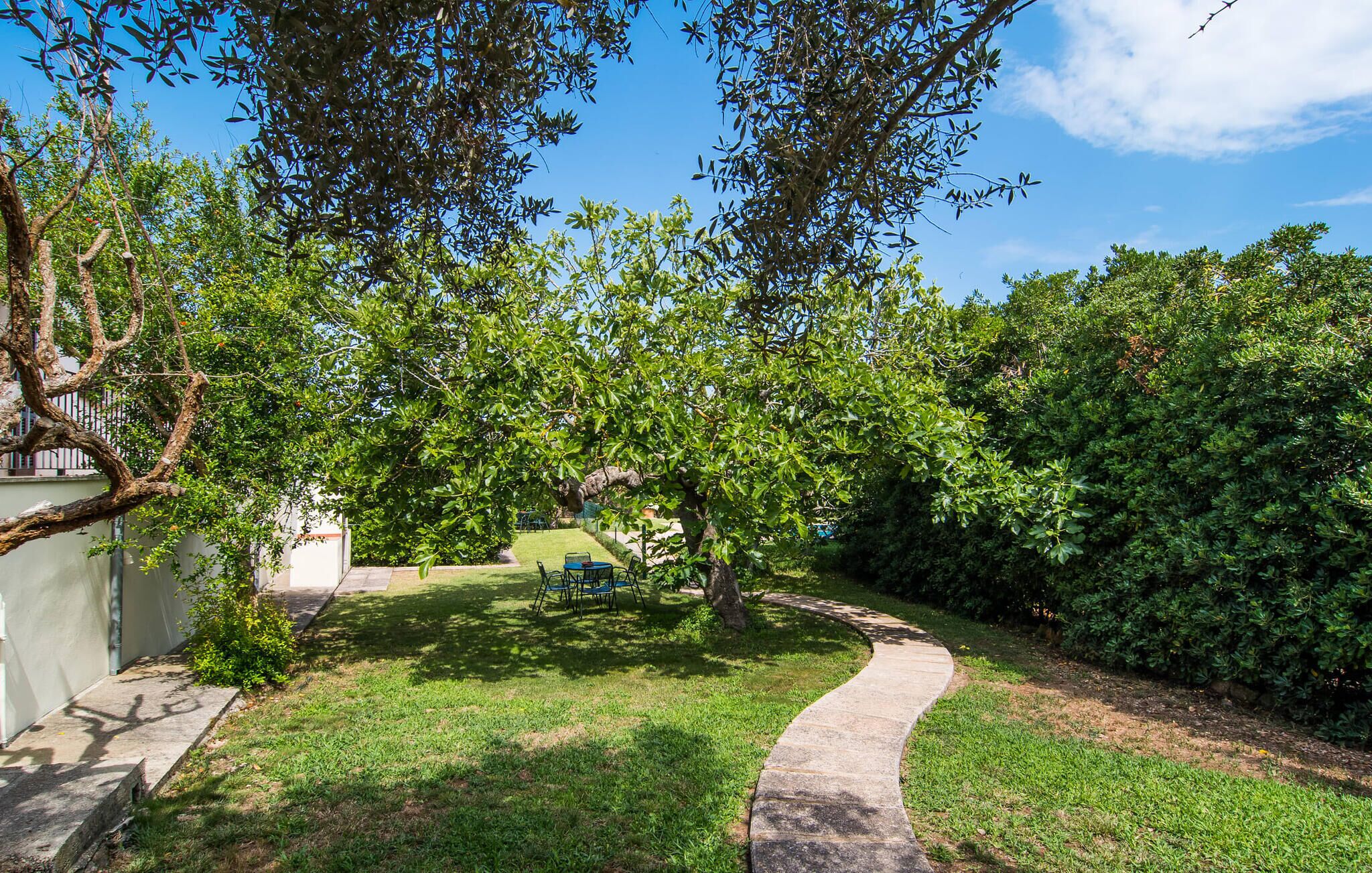 Un jardin avec un chemin sinueux, des arbres et un banc.