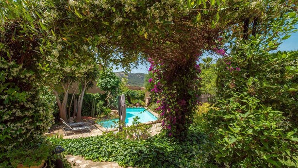 Una piscina rodeada de exuberante vegetación y plantas florecientes.