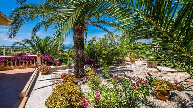 Ein gepflegter Garten mit Palmen, blühenden Pflanzen und einem gepflasterten Weg.