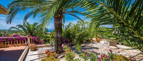 Área da propriedade