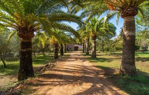 Property grounds - Nice home in Alaro with private swimming pool, can be inside or outside (Alaro)