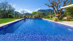A rectangular swimming pool with blue mosaic tiles, surrounded by a well-maintained lawn and various potted plants. - Stunning home in Esporles with private swimming pool, can be inside or outside (Esporles)