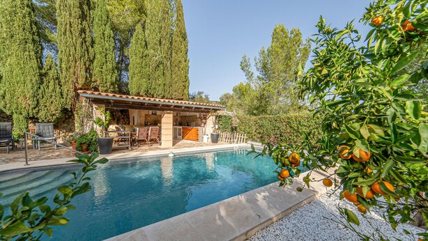 A swimming pool with a covered patio area, surrounded by trees and a fruit tree. - Pet friendly home in Galilea (Galilea)