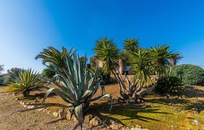 Property grounds - Stunning home in Santanyi with private swimming pool, can be inside or outside (Santanyi)