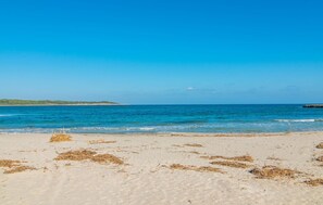 Playa en los alrededores 