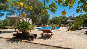 Un espace aménagé au bord de la piscine, avec des chaises longues, une petite piscine et des plantes en pot.