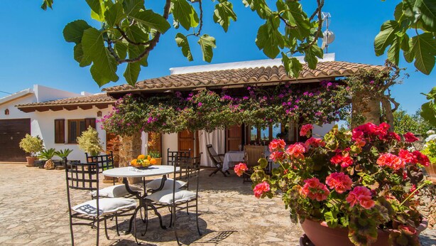 Une terrasse avec des sièges d’extérieur, une table avec des fruits et une grande plante en pot ornée de fleurs roses.