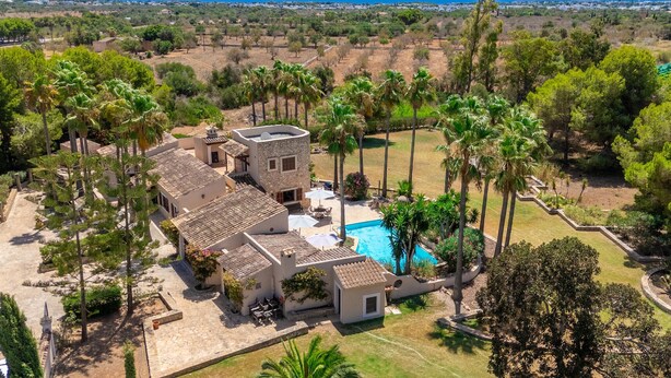 Una villa con piscina, rodeada de palmeras y vista al mar.
