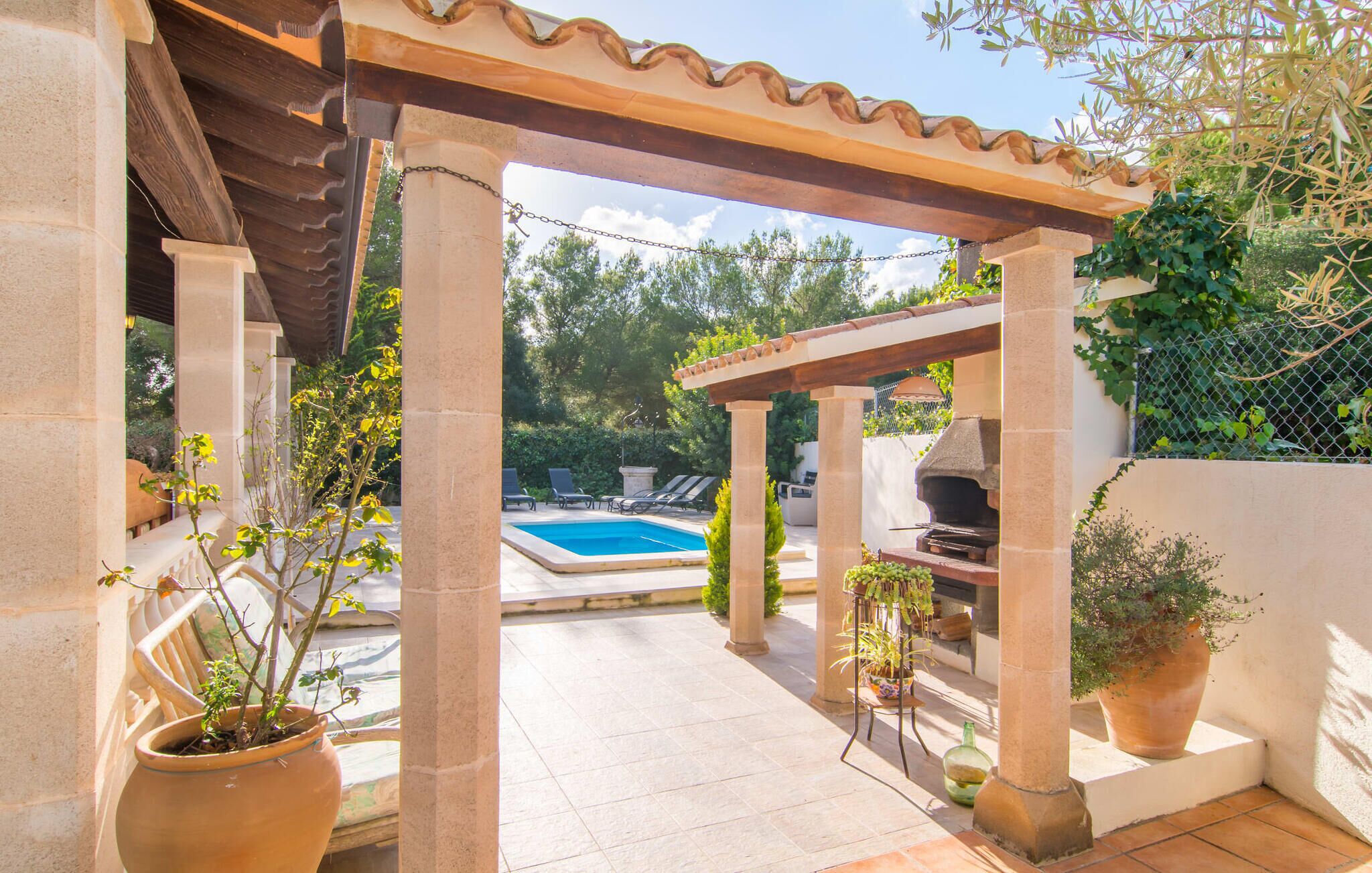 テラス / パティオ