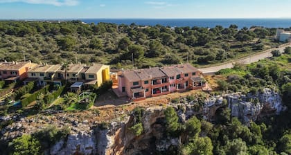 The Torrent's Observer