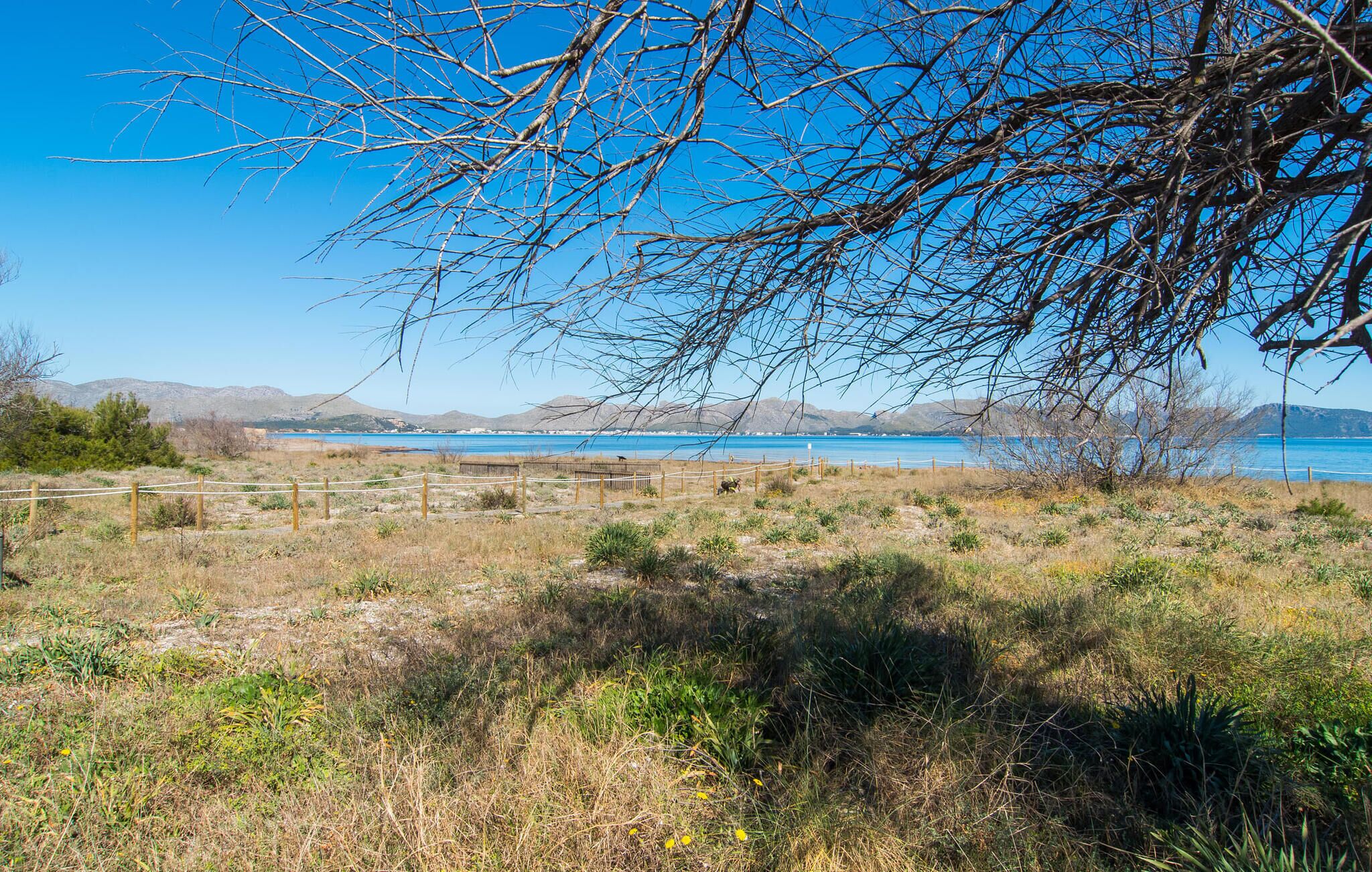 A natural landscape with a clear blue sky, a body of water, and distant mountains.