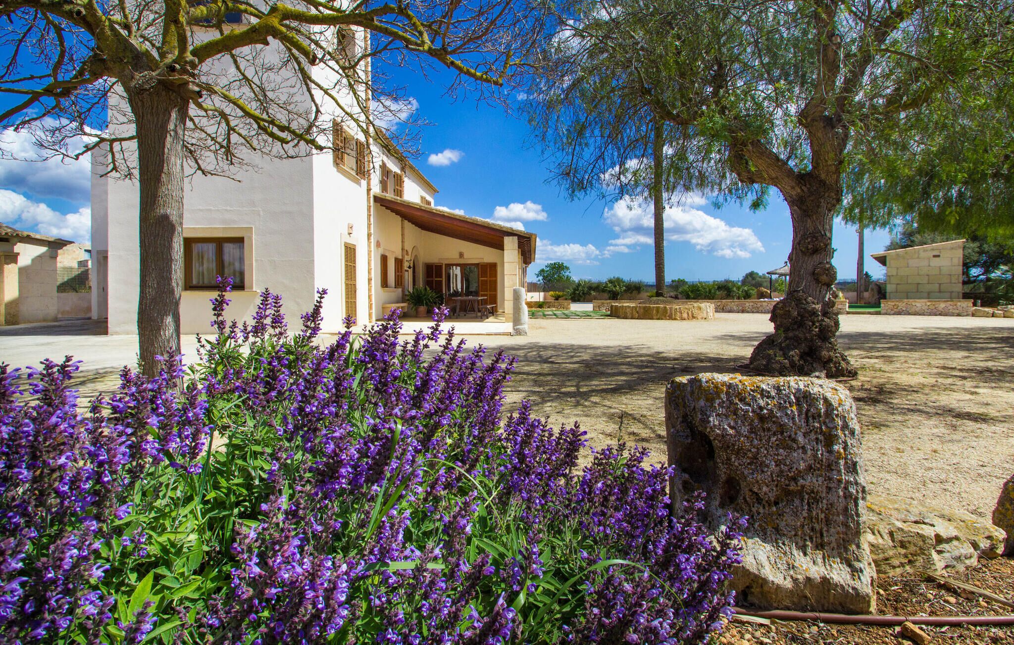 Áreas de la propiedad