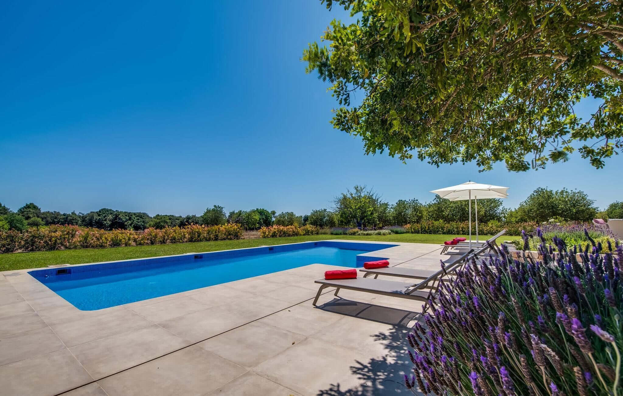 Une piscine rectangulaire dont le bord est recouvert de carrelage, entourée d’une terrasse en béton. On y trouve des chaises longues et un parasol blanc.