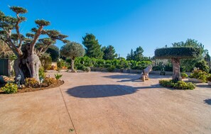 Property grounds - Lovely home in Son Servera with private swimming pool, can be inside or outside (Son Servera)