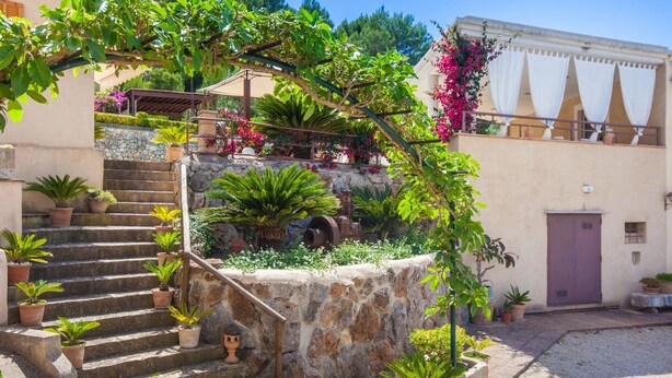 Un escalier en pierre mène à un bâtiment doté d’un jardin agrémenté de plantes en pot et d’une pergola couverte de plantes grimpantes en fleurs.