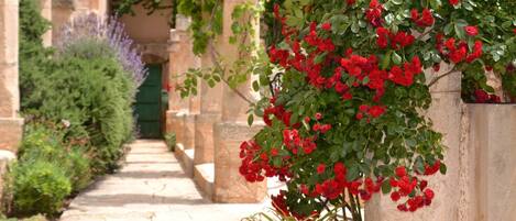 Terrein van de accommodatie