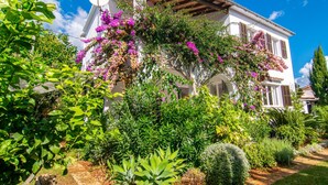 A white building with a garden in front, featuring various plants and flowers. - Beautiful home in Cala Millor (Cala Millor)