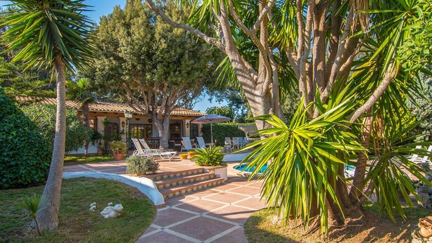 A poolside area with lounge chairs, a palm tree, and a tiled pathway leading to a building with a tiled roof. - Beach front home in Canyamel (Canyamel)
