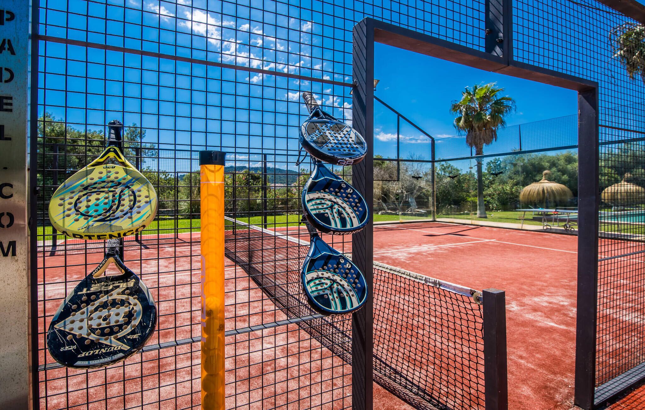 A tennis court with a net, surrounded by a fence, and a palm tree in the background.